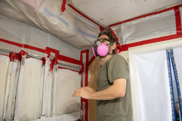 Best Environmental Consulting for Mold Prevention  in Savanna, IL