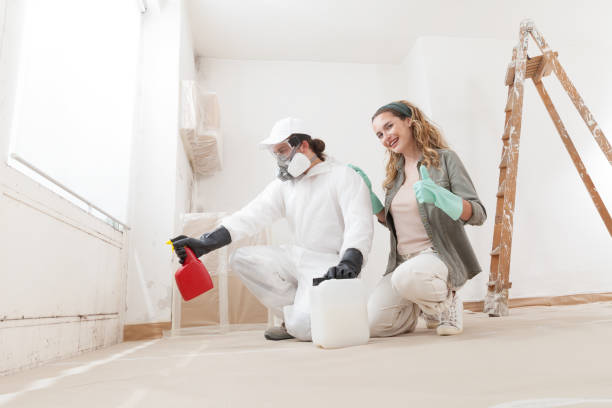 Best Asbestos and Lead Testing During Mold Inspection  in Savanna, IL