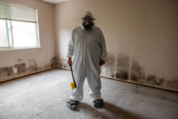 Best Commercial Mold Inspection  in Savanna, IL